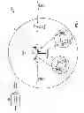 Fig. 02 - Uplink data transmission with interference mitigation