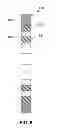 Fig. 09 - Method and system for requesting a service utilizing a sequence of codes