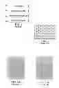 Fig. 02 - Elegant solutions for fingerprint image enhancement