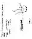 Fig. 22 - Sclerostin binding antibodies