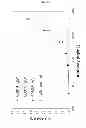 Fig. 05 - ANTICANCER COMBINATION THERAPY