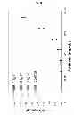 Fig. 07 - ANTICANCER COMBINATION THERAPY