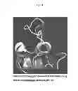 Fig. 23 - ANTICANCER COMBINATION THERAPY