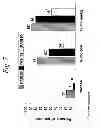 Fig. 08 - Multiple-variable dose regimen for treating idiopathic inflammatory bowel disease