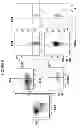 Fig. 07 - Antibody for selective inhibition of T-cell responses
