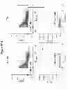 Fig. 35 - Antibody for selective inhibition of T-cell responses