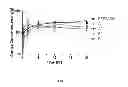 Fig. 06 - Suspensions of cyclosporin A form 2