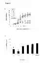 Fig. 02 - DNA VACCINES ENCODING HEAT SHOCK PROTEINS