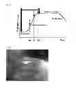Fig. 02 - Flavor containing L-glutamic acid and method thereof