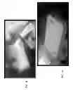 Fig. 07 - METHODS OF FORMING SHOCK ABSORBING SURFACES ON OBJECTS, AND OBJECTS PRODUCED USING SAME