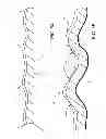 Fig. 05 - EXPANDABLE FLASHING MEMBRANE