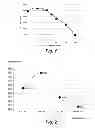 Fig. 02 - Anti abrasion layer