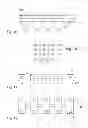 Fig. 07 - BATTERY OF ACCUMULATORS OF EASY DESIGN AND ASSEMBLY