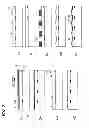 Fig. 07 - NITRIDE COMPOUND SEMICONDUCTOR ELEMENT AND PRODUCTION METHOD THEREFOR