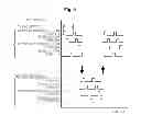 Fig. 08 - Method of manufacturing a semiconductor device