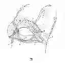 Fig. 02 - Clothing