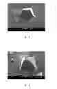 Fig. 02 - PAD CONDITIONER DRESSER