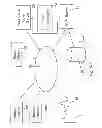 Fig. 02 - System and method for augmenting features of visual voice mail