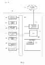 Fig. 09 - ONLINE IMMERSIVE ENVIRONMENT AND WAGERING GAMES