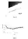 Fig. 04 - Glass article with antimicrobial properties