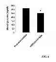Fig. 07 - COMPOSITION FOR PREVENTING OR TREATING DIABETES COMPRISING NAD GLYCOHYDROLASE INHIBITOR AS ACTIVE INGREDIENT