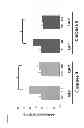 Fig. 07 - Methods of inhibiting photoreceptor apoptosis