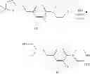 Fig. 340 - Compounds having TRPV1 antagonistic activity and uses thereof