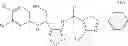 Fig. 294 - Modulators of indoleamine 2,3-dioxygenase and methods of using the same