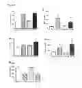 Fig. 08 - ISOXAZOLINE COMPOUNDS IN TYPE 2 DIABETES AND OTHER MALADIES