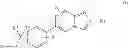 Fig. 02 - POLYSUBSTITUTED DERIVATIVES OF 2-HETEROARYL-6-PHENYLIMIDAZO[1,2-a]PYRIDINES, AND PREPARATION AND THERAPEUTIC USE THEREOF
