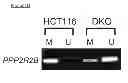 Fig. 09 - Methods and compositions for treating cancer