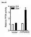 Fig. 22 - Methods and compositions for treating cancer
