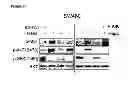Fig. 37 - Methods and compositions for treating cancer