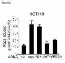 Fig. 43 - Methods and compositions for treating cancer