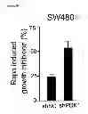 Fig. 44 - Methods and compositions for treating cancer