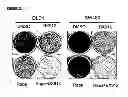 Fig. 47 - Methods and compositions for treating cancer