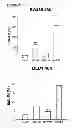 Fig. 80 - Methods and compositions for treating cancer