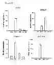 Fig. 85 - Methods and compositions for treating cancer