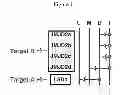 Fig. 02 - Method of preventing or treating viral infection