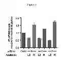 Fig. 06 - Method of preventing or treating viral infection