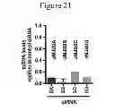 Fig. 22 - Method of preventing or treating viral infection