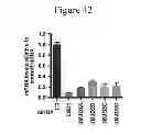 Fig. 43 - Method of preventing or treating viral infection