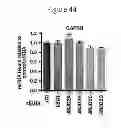 Fig. 45 - Method of preventing or treating viral infection