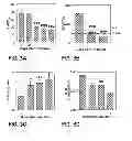 Fig. 04 - METHOD OF TREATING A VIRAL INFECTION DYSFUNCTION BY DISRUPTING AN ADENOSINE RECEPTOR PATHWAY