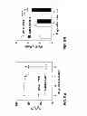 Fig. 07 - METHOD OF TREATING A VIRAL INFECTION DYSFUNCTION BY DISRUPTING AN ADENOSINE RECEPTOR PATHWAY