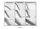 Fig. 02 - Methods for Providing Enhanced Resveratrol Activity Using 4-Acetoxy-Resveratrol