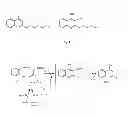 Fig. 02 - METHODS AND USES RELATING TO THE IDENTIFICATION OF COMPOUND ASSOCIATED WITH BACTERIAL INFECTION