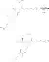 Fig. 75 - Controlled drug release from dendrimers