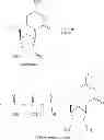 Fig. 231 - MODIFIED NUCLEOSIDES, NUCLEOTIDES, AND NUCLEIC ACIDS, AND USES THEREOF