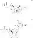 Fig. 28 - MODIFIED NUCLEOSIDES, NUCLEOTIDES, AND NUCLEIC ACIDS, AND USES THEREOF